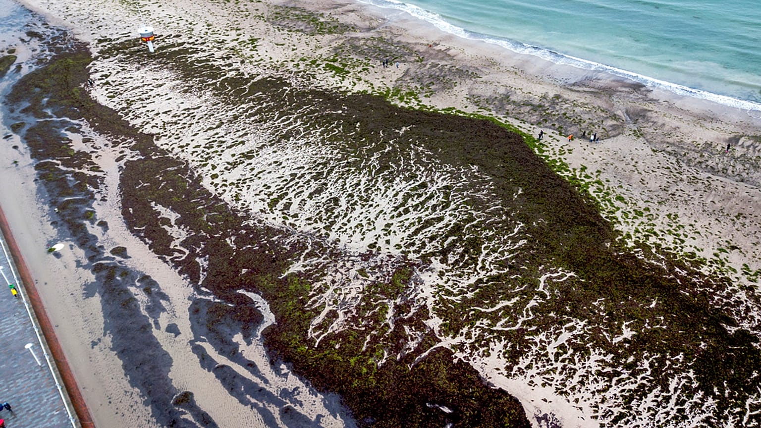 In der Ostsee vor Rerik entdeckten die Forscher:innen zufällig die Mauer.