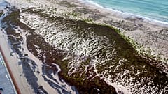 In der Ostsee vor Rerik entdeckten die Forscher:innen zufällig die Mauer.