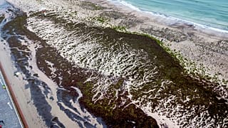 In der Ostsee vor Rerik entdeckten die Forscher:innen zufällig die Mauer.