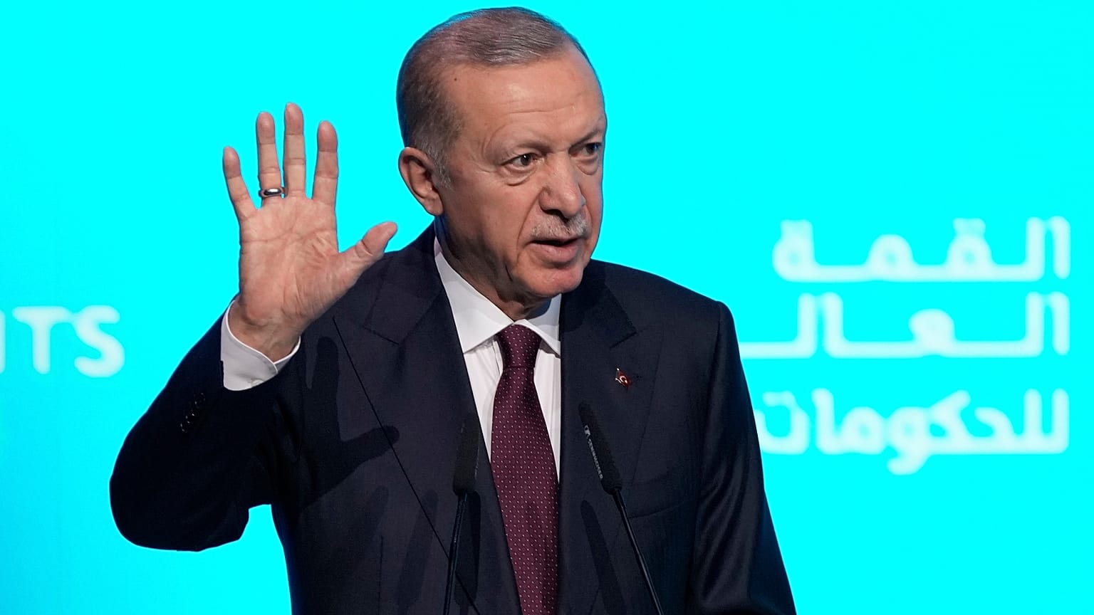 Cumhurbaşkanı Recep Tayyip Erdoğan