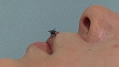 Yoko Ono, FLY 1970 - 71