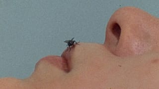 Yoko Ono, FLY 1970 - 71
