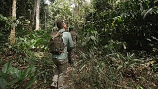 La UE y Costa de Marfil cooperan en la producción sostenible de cacao