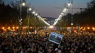 Manifestazione a Budapest