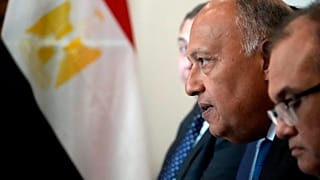 وزير الخارجية المصري سامح شكري