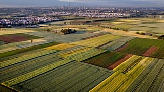Campos de cultivo en Alemania