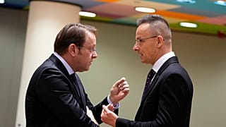 Еврокомиссар по вопросам расширения и политики соседства Оливер Вархели и глава МИД Венгрии Петер Сийярто