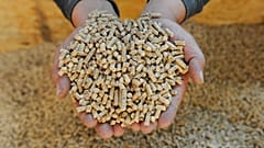 Holzpellets. Nach Ansicht von Naturschutzverbänden könnten neue EU-Vorschriften zur Zertifizierung des Kohlenstoffabbaus die Verbrennung von Holz und anderer Biomasse fördern.