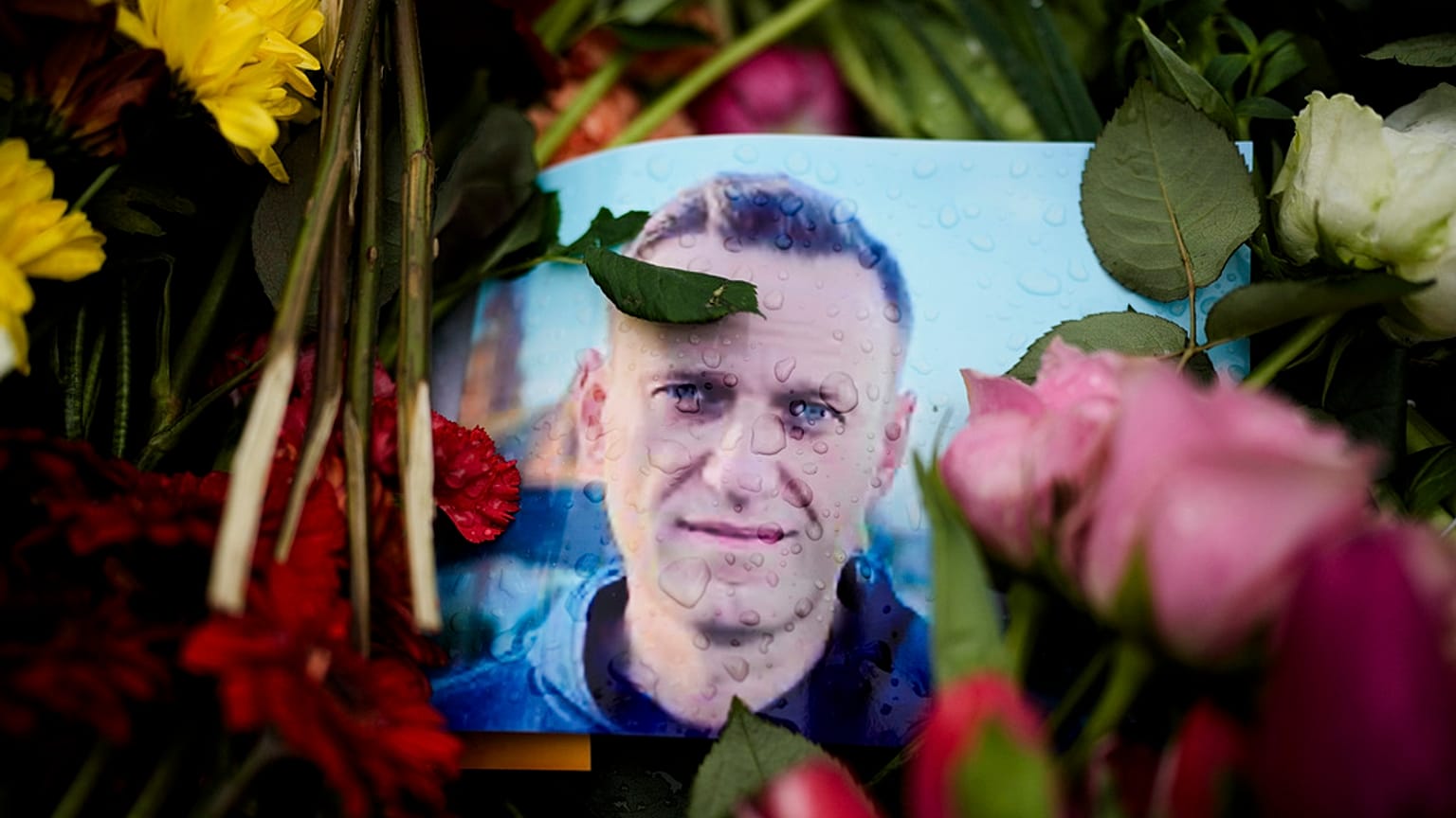 Rain drops cover a portrait of Russian opposition leader Alexei Navalny, placing between flowers in front of the Russian embassy in Berlin