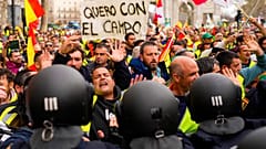 Spanyol gazdák tüntetése Madridban