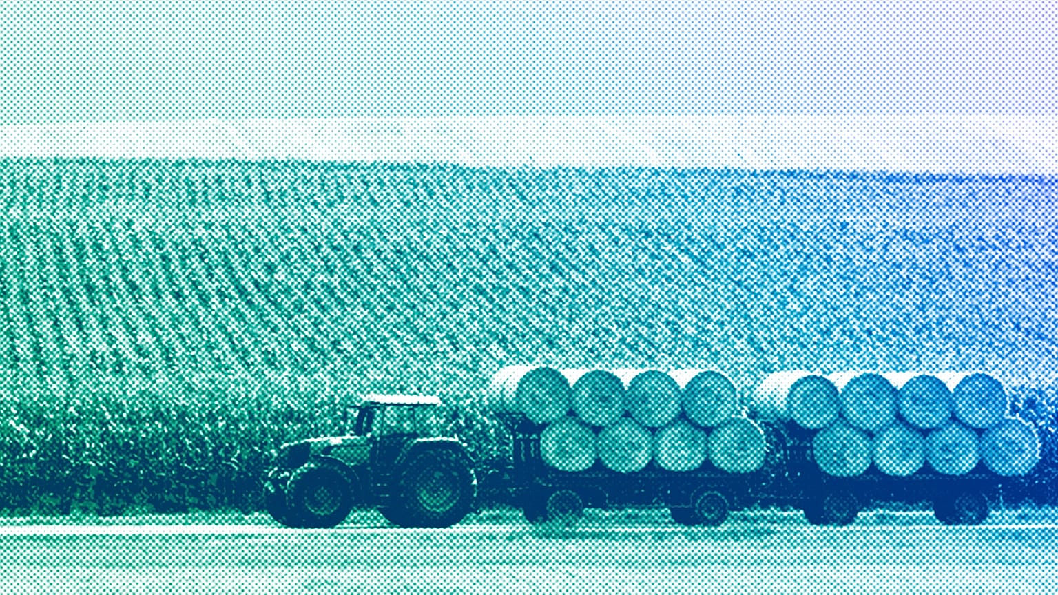  A tractor with trailers transports bales of straw from a field near Dachau, August 2009