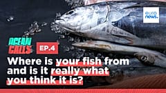 Ocean Calls. Season 3. Episode 4.