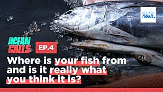 Ocean Calls. Season 3. Episode 4.