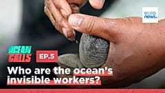 Ocean Calls. Season 3. Episode 5.