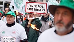 manifestazioni agricoltori a Parigi