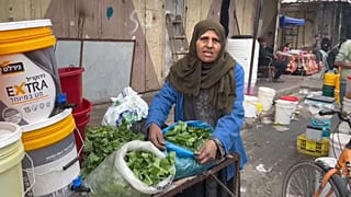 سكان غزة يتناولون الملوخية بسبب نقص الغذاء.