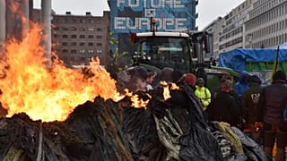 Manifestation d'agriculteurs à Bruxelles le 26 février 2024