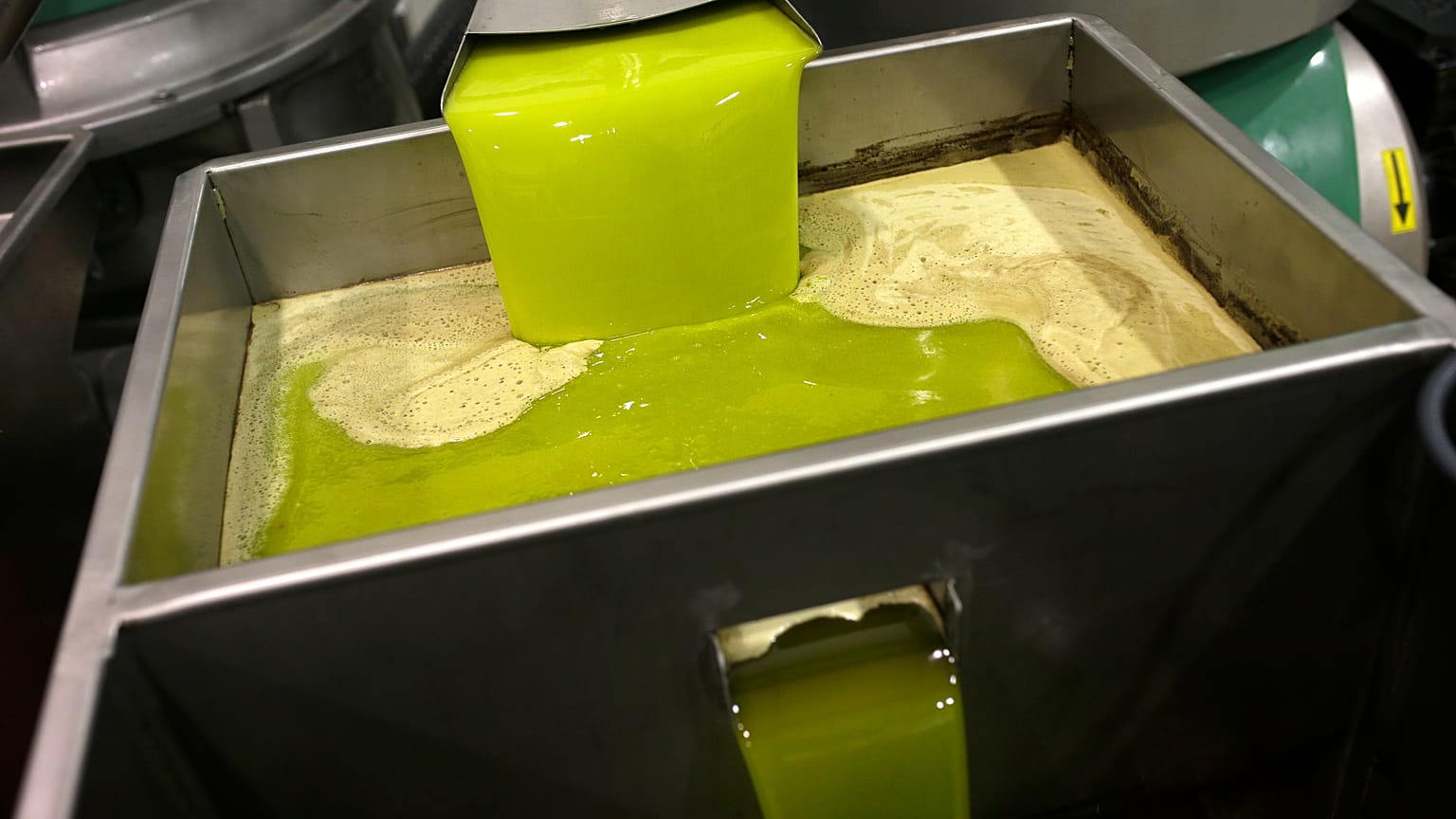 تصفية زيت الزيتون في معصرة إسبانية. 2014/11/11