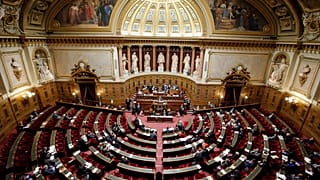 This file photo shows a general view of France's Senate.