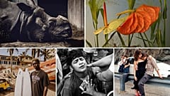 Les finalistes des Sony World Photography Awards dévoilés