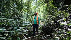 Aimé-Roger Malonda, forest operations manager surveys the trees at Precious Woods's Bambidié site in Gabon