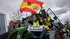 Manifestante en una de las últimas protestas en España