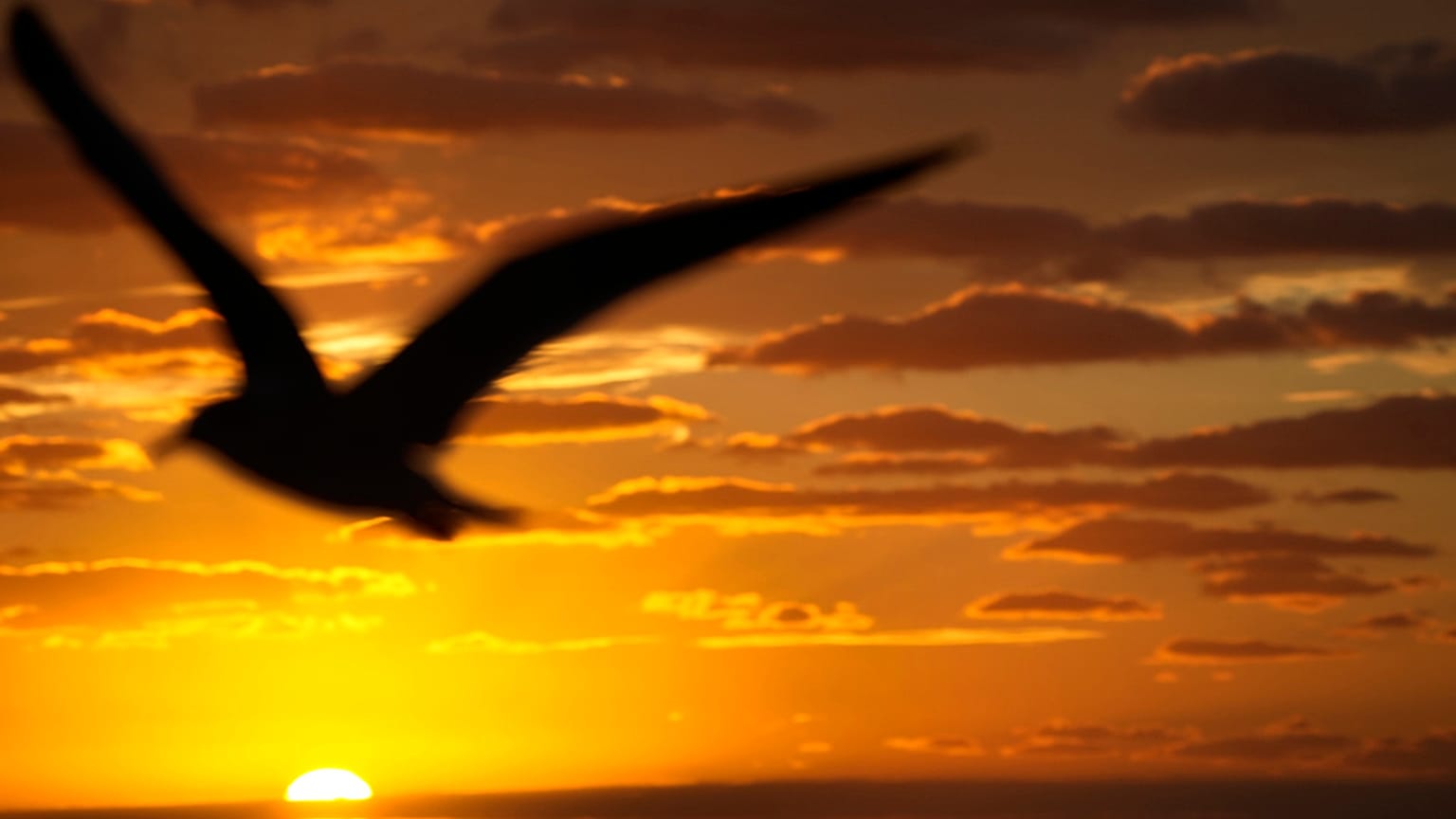 Wilfredo Lee / AP