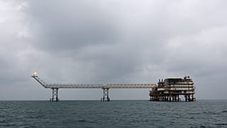 عکس تزیینی است