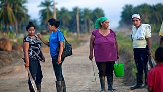 In this May 7, 2012 photo, women, with machetes in hand, wait for a truck to drive them to their work areas of their African palm tree plantation in La Confianza, Honduras.