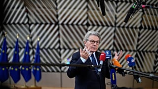 Avupa Komisyonu'nun iç piyasadan sorumlu üyesi Thierry Breton