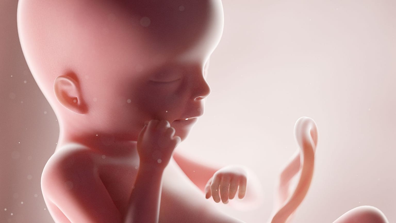 Scientists have created mini-organs from amniotic fluid for the first time.