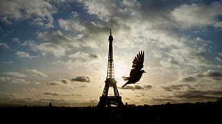 Paris, Venedig, Santorini und andere überlaufene Tourismus-Hotspots können sich womöglich bald auf etwas leerere Innenstädte freuen.