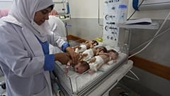 Gazze'de aynı küvöze konulan bebekler 