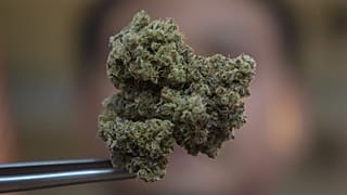 Marihuana in Thailand