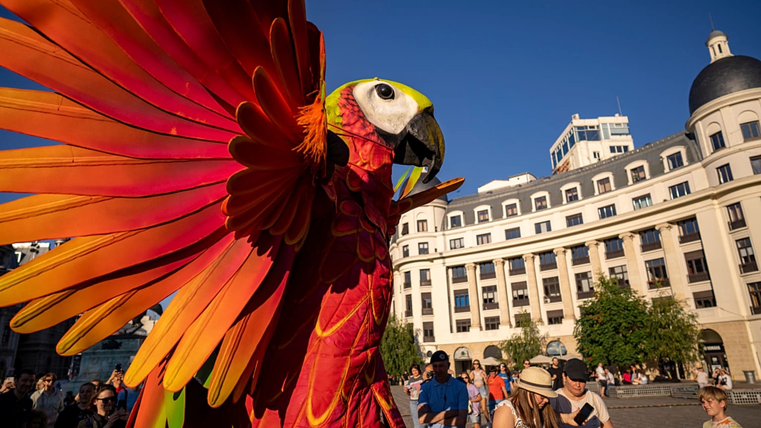 فنان من شركة Stilt Parrots المسرحية من هولندا يقدم عرضًا