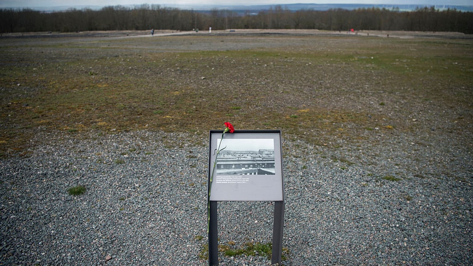 A flower is attached to an information board  near Weimar, Germany, Sunday, April 10, 2022.