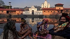 Festival Shivaratri 2024: Sacerdotes hindus fumam marijuana enquanto os devotos celebram