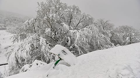 The snow covers the landscape near the French border in Ibaneta, northern Spain, Monday, Jan. 8, 2024. 