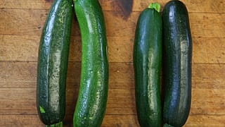 Calabacines para unos, calabacines para otros, pero inidentificables para muchos jóvenes franceses.