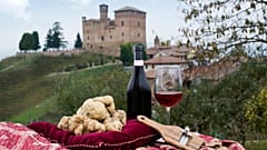 Truffle hunters and winemakers both want the shady side of the hill in Piedmont as temperatures climb.