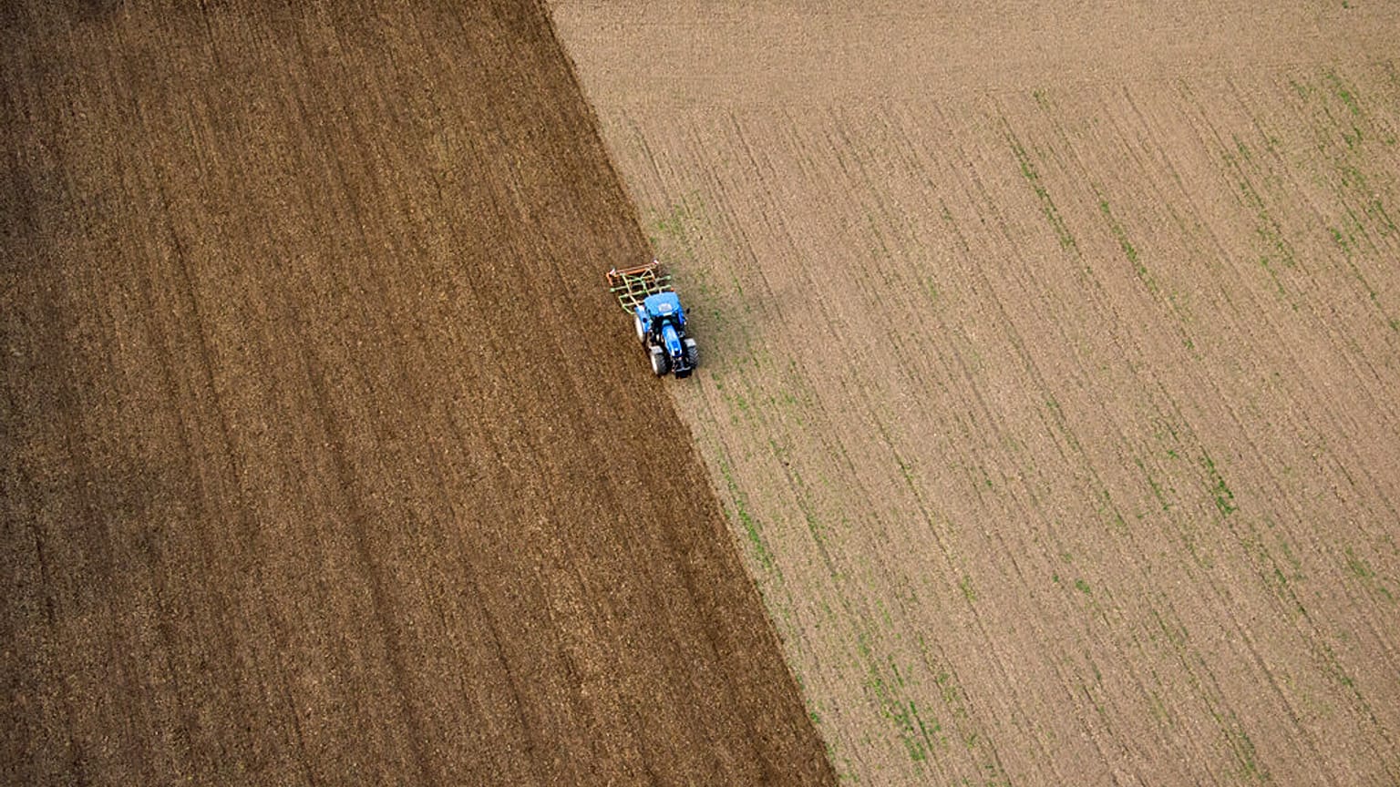 Widespread intensive agriculture is just one of the reasons that some two-thirds of Europe's soil is in ecologically poor condition.