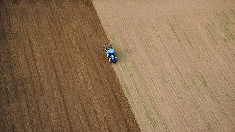 Widespread intensive agriculture is just one of the reasons that some two-thirds of Europe's soil is in ecologically poor condition.