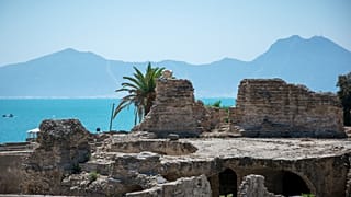 عکس تزیینی است