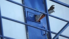 Профсоюзы сотрудников исправительных учреждений Бельгии сетуют на нехватку кадров и переполненность тюрем.ть 