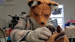 extract video