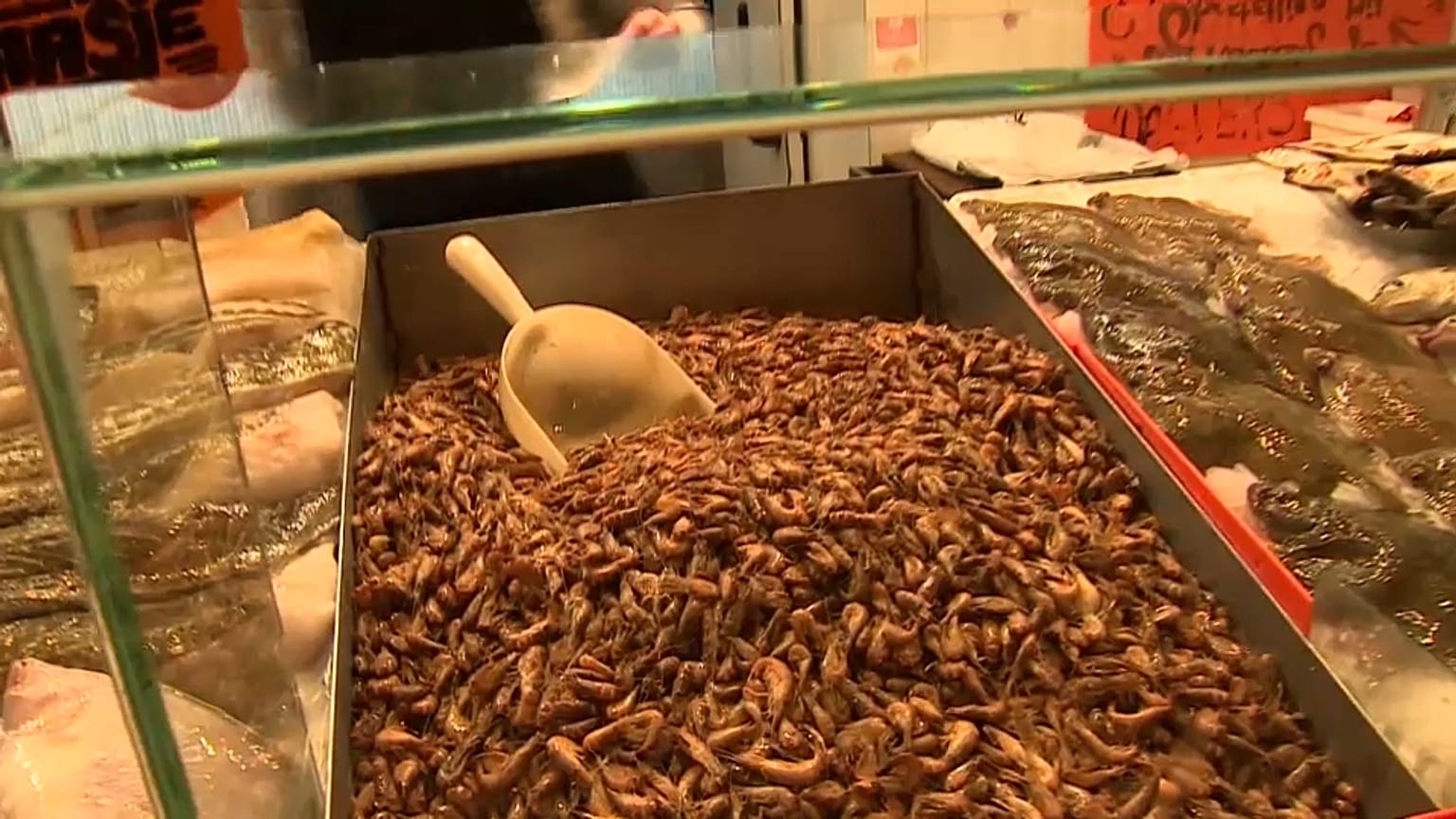 La escasez de gambas en el Mar del Norte encarece su precio de mercado