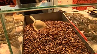 La escasez de gambas en el Mar del Norte encarece su precio de mercado