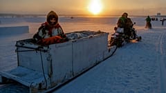 Rentierschlitten im Sonnenaufgang