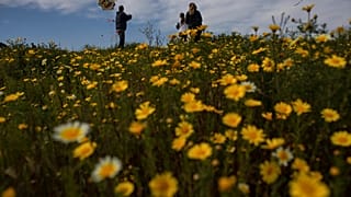 Πέταγμα του χαρταετού στην Ελλάδα την Καθαρά Δευτέρα - φώτο αρχείου