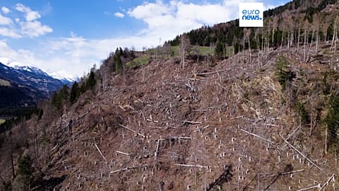 A mountainside in Tyrol, Austria 2024.